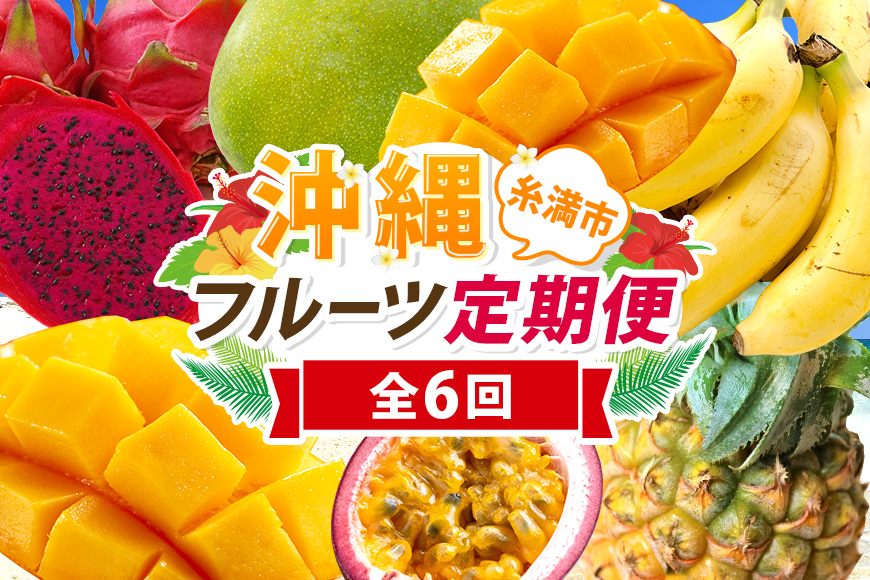 【定期便全6回】沖縄フルーツ定期便 6回 パッションフルーツ 沖縄産パイナップル マンゴー キーツマンゴー ドラゴンフルーツ 沖縄バナナ