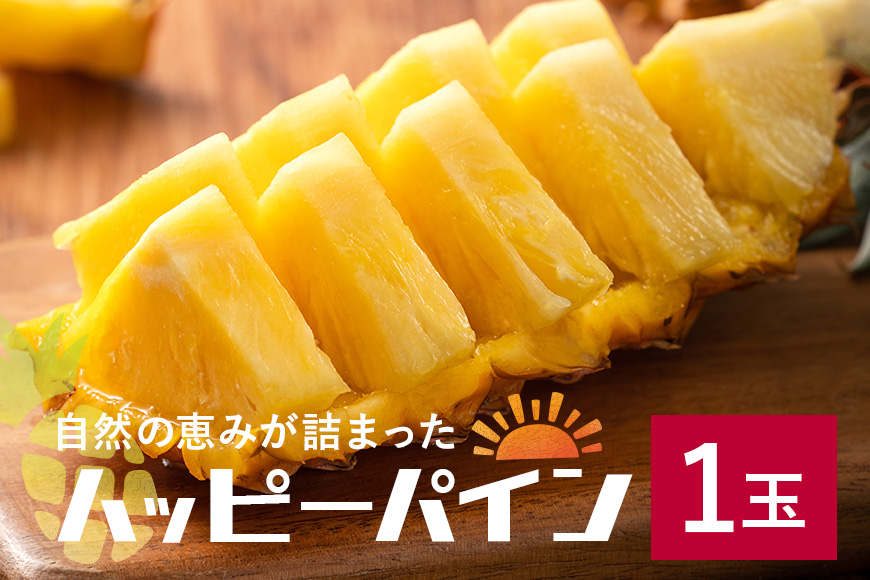 【2026年発送】ハッピーパイン1玉 沖縄県の南部では育たないと言われた幻のパイナップル パイナップル パイン フルーツ 果物 甘い 沖縄