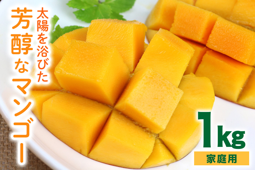 【2026年発送】沖縄の太陽を浴びた芳醇なマンゴー 1kg（ご家庭用） 90-4