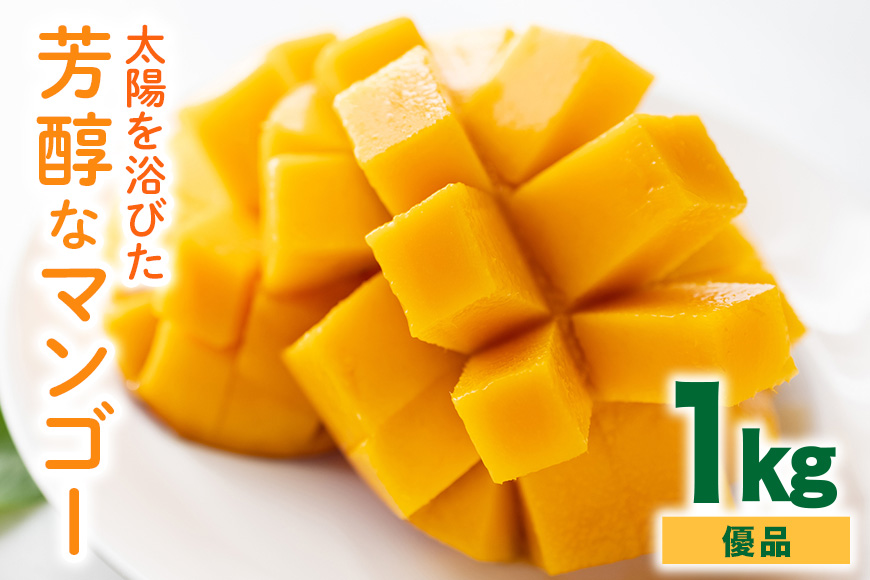 【2026年発送】沖縄の太陽を浴びた芳醇なマンゴー 1kg（優品） 90-5