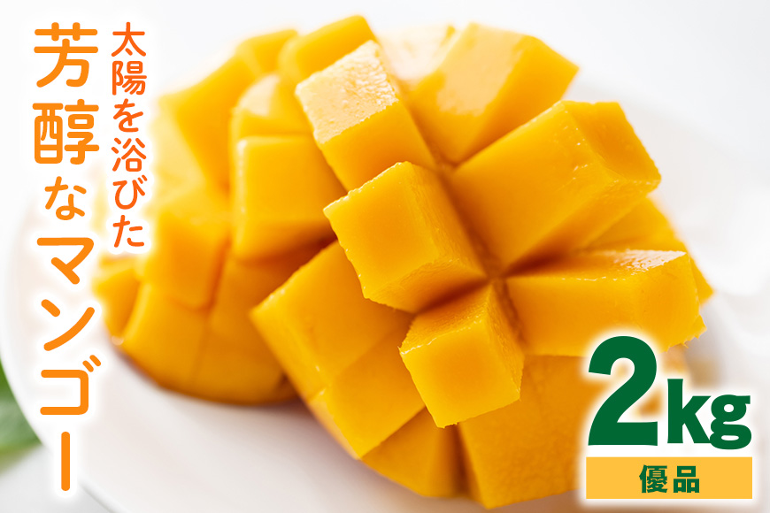 【2026年発送】沖縄の太陽を浴びた芳醇なマンゴー 2kg（優品） 90-6