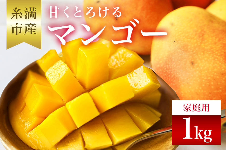 【2026年発送】かねよしマンゴーの甘くとろけるマンゴー1kg（家庭用）