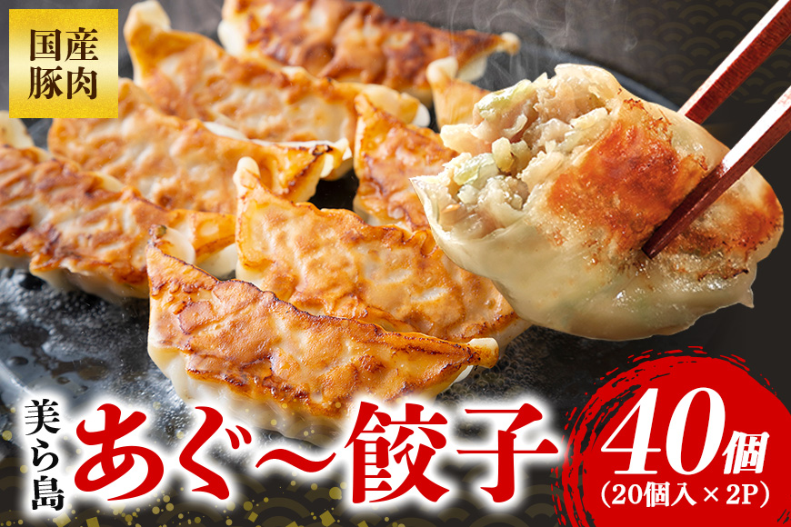 美ら島あぐー餃子 40個セット 20個入×2パック 絶品 こだわり 豚 肉 国産 ごはん おかず お弁当 冷凍 ぎょうざ ギョウザ 小分け BBQ ギョーザ 惣菜 晩酌 ギフト 手作り 生餃子 豚肉 冷凍食品 おつまみ 冷凍餃子 ブランド豚 総菜 中華 焼き餃子 沖縄県 糸満市