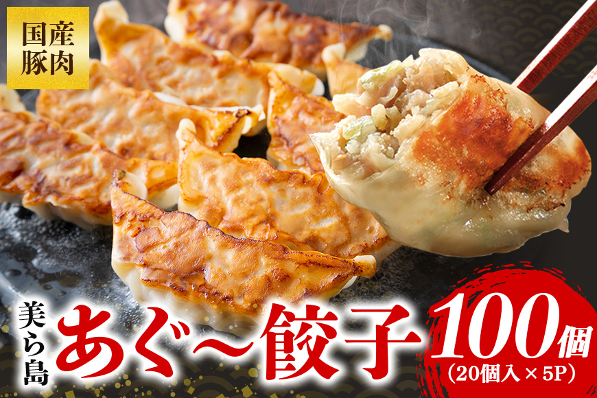 美ら島あぐー餃子 100個セット 20個入×5パック 絶品 こだわり 豚 肉 国産 ごはん おかず お弁当 冷凍 ぎょうざ ギョウザ 小分け BBQ ギョーザ 惣菜 晩酌 ギフト 手作り 生餃子 豚肉 冷凍食品 おつまみ 冷凍餃子 ブランド豚 総菜 中華 焼き餃子 沖縄県 糸満市
