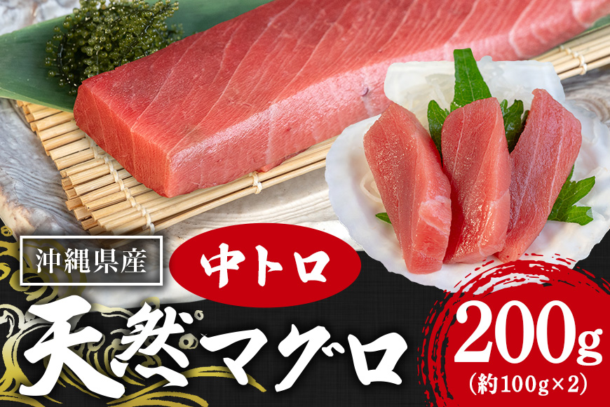 沖縄県産「旬の天然本マグロ」をお届け！天然本マグロ中トロ 200g
