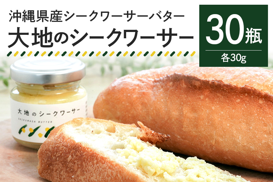 [大容量セット]沖縄県産シークワーサーバター「大地のシークワーサー」30瓶入り