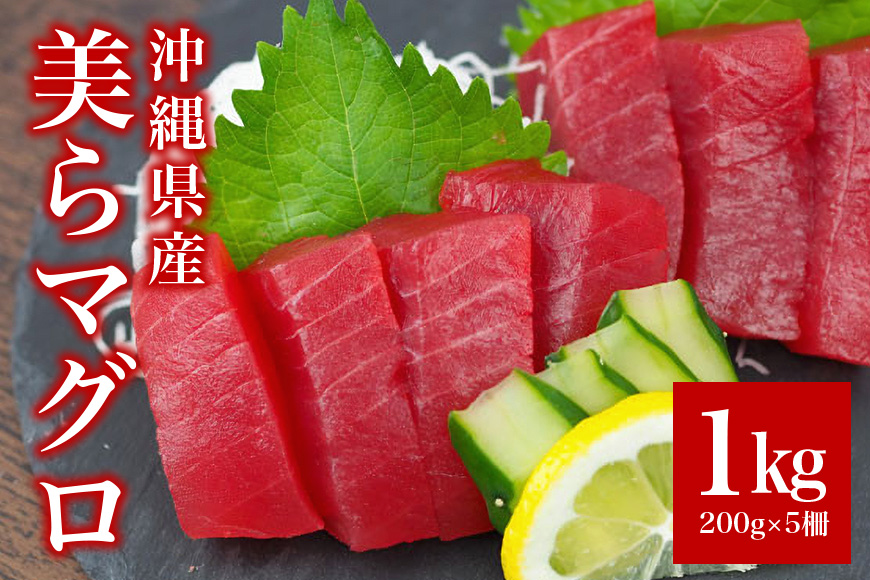 沖縄県産「旬のマグロ」をお届け！美らマグロ（1kg）