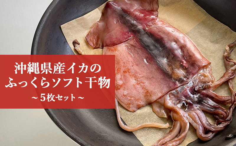 「海人(漁師)のまち」沖縄県産イカのふっくらソフト干物5枚セット