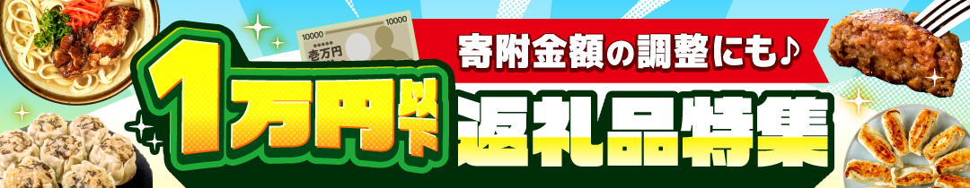 ＼1万円以下／お手頃返礼品特集