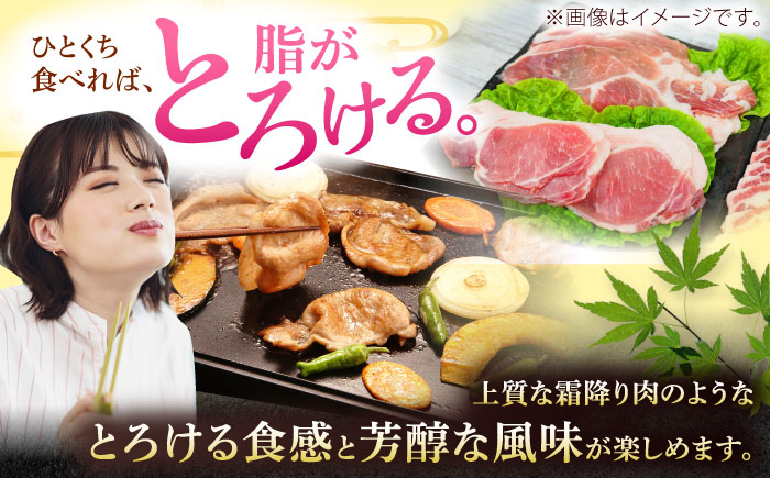 沖縄県産豚肉 くいまーる豚 焼肉セット (ロース・バラ) 計2.4kg (200g×各6P) 豚バラ 豚ロース スライス 焼き肉 小分け 沖縄市 / 宮城ふぁーむ [BCAJ002]