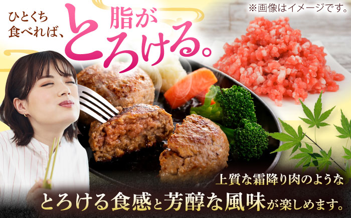 沖縄県産豚肉 豚ミンチ 中挽き 約2.1kg (350g×6P) ひき肉 豚肉 小分け 冷凍 国産 沖縄市 / 宮城ふぁーむ [BCAJ009]