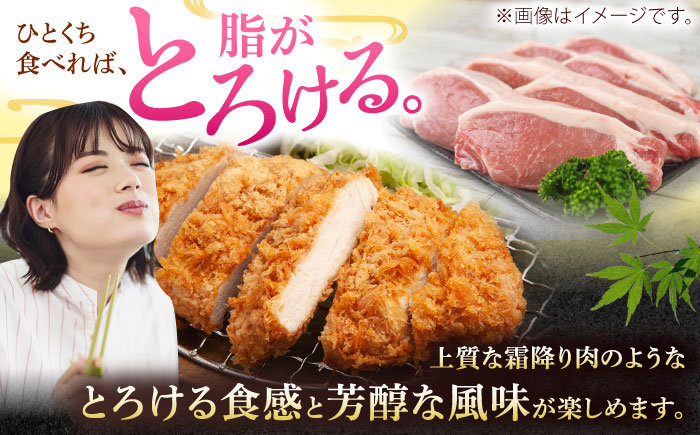 沖縄県産豚肉 厚切りロースステーキ 約1.2kg (200g×6P) 豚肉 ステーキ ステーキ肉 小分け 冷凍 国産 沖縄市 / 宮城ふぁーむ [BCAJ011]