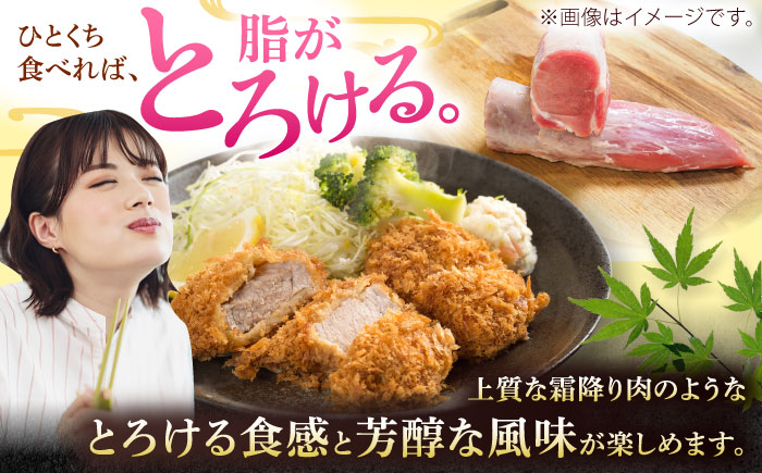 沖縄県産豚肉 ヒレ肉 3本入り (計1.5～1.8kg) 豚 豚肉 ひれ肉 真空パック 小分け 冷凍 国産 沖縄市 / 宮城ふぁーむ [BCAJ012]