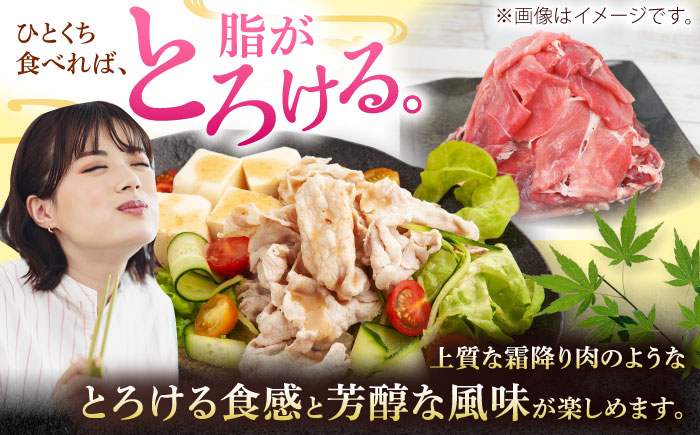 沖縄県産豚肉 もも切り落とし 約2.5kg (500g×5P) 豚肉 もも肉 冷凍 小分け 冷凍 国産 沖縄市 / 宮城ふぁーむ [BCAJ013]
