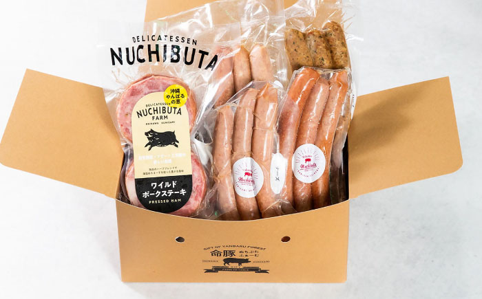 『NUCHIBUTA Bセット』 豚肉 ポークステーキ ソーセージ 詰め合わせ お取り寄せ 国産 ギフト 冷凍 沖縄市 / DELICATESSEN NUCHIBUTA [BCAR004]