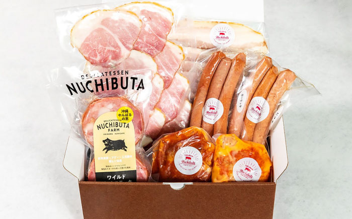 『NUCHIBUTA Cセット』 豚肉 ポークステーキ ハンバーグ ソーセージ ベーコン ハム 詰め合わせ お取り寄せ 国産 ギフト 冷凍 沖縄市 / DELICATESSEN NUCHIBUTA [BCAR005]