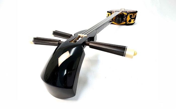 池武当新垣三線店 人工皮三線初心者セット 三線 さんしん 初心者