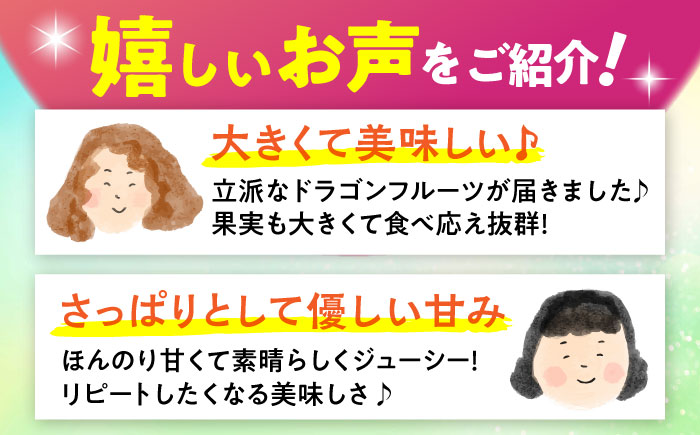 【2026年発送 先行受付】農家直送！南国の果物 ドラゴンフルーツ 2.5kg 火龍果 果物 フルーツ デザート お取り寄せ 沖縄市 / タカエス フルーツ＆ベジタブル [BCBH002]