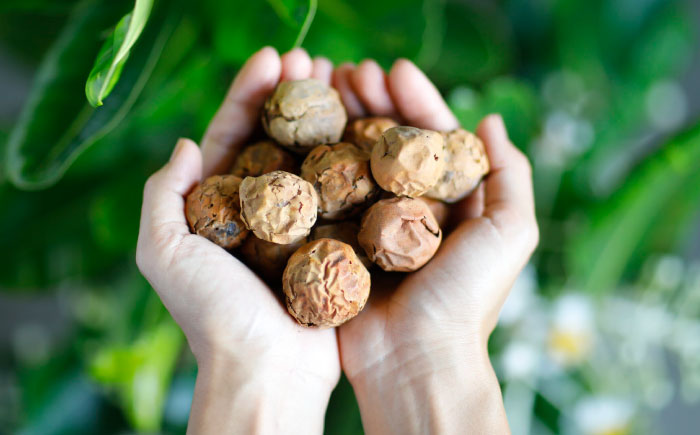 Natural Essence TAMANU スターターセット エイジングケア スキンケア スキンケアセット 美容 ギフト 沖縄市 / 株式会社すまエコ [BCBJ010]