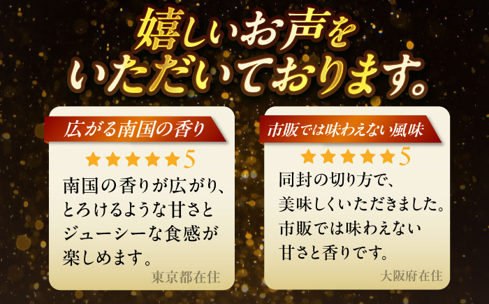 【先行予約 2026年発送 予約受付】【贈答用】仲村農園の完熟アップルマンゴー2kg マンゴー 沖縄 果物 フルーツ ギフト 沖縄市 / 仲村農園 [BCCU001]