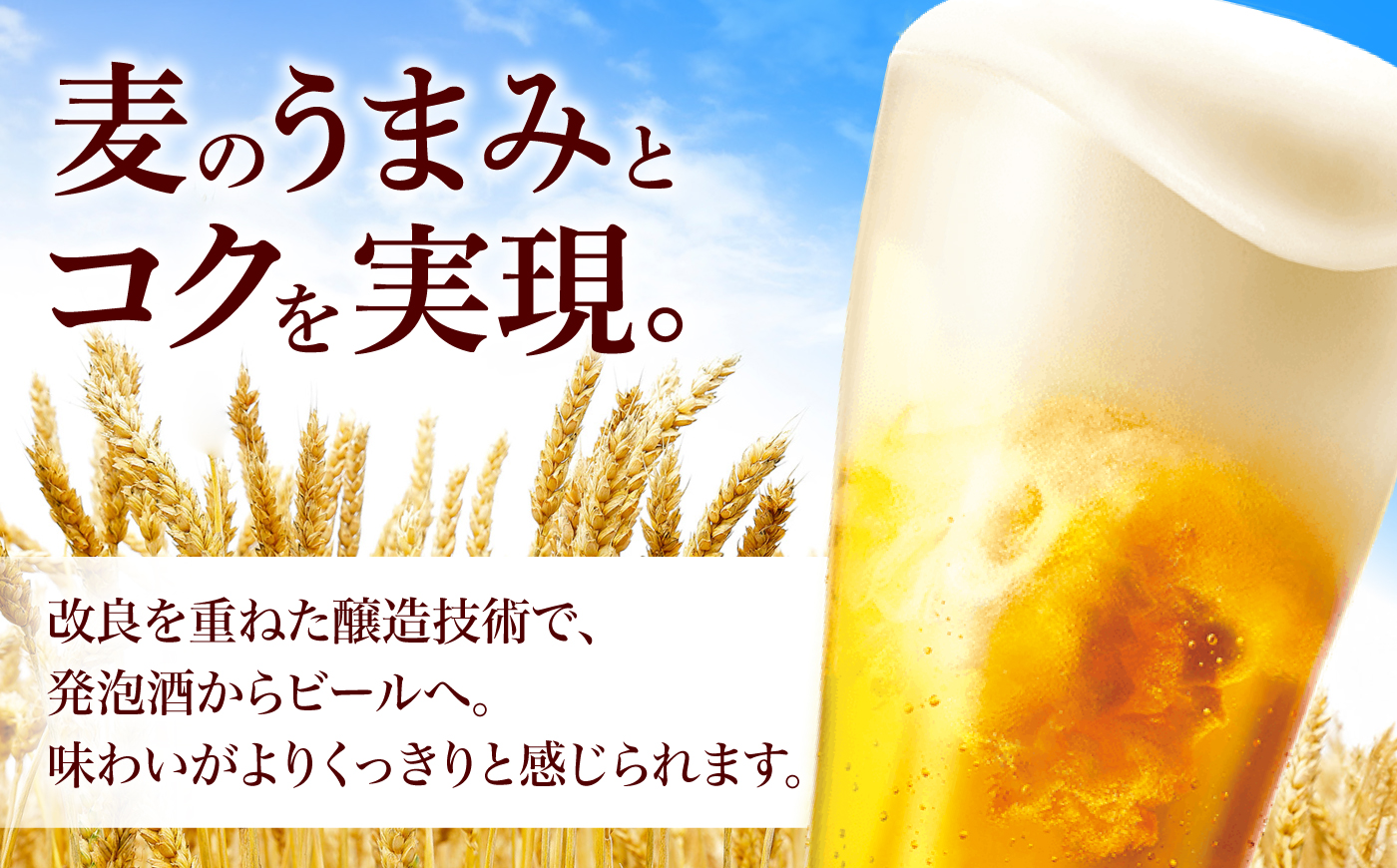【全6回定期便】オリオン 麦職人 350ml×24本 (6本パック×4) オリオンビール 缶ビール ビール 350ml 24本 沖縄市 / リカーショップ コザ [BCDD024] 常温 ストック