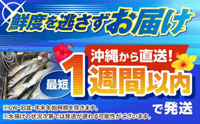 冷凍キハダマグロ 1.2kg (300g×4パック) マグロ まぐろ 小分け 冷凍 刺身 赤身 沖縄市 / 沖縄市漁業協同組合 パヤオ直売店 [BCDZ007]