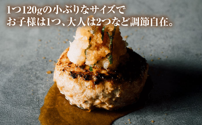 おにくの碧龍の「アグー豚 詰め合せギフト【ミニ】」 豚肉 ハンバーグ ソーセージ ベーコン ヒレ 詰め合わせ お取り寄せ 国産 ギフト 沖縄市 / おにくの碧龍 [BCEO016]