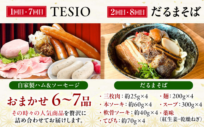 【全12回定期便】ビールと相性抜群！沖縄のおつまみセット【沖縄市】TESIO だるまそば 豚々茶舗 DELICATESSEN NUCHIBUTA みやんち STUDIO&COFFEE お肉屋本店 [BCZZ023]