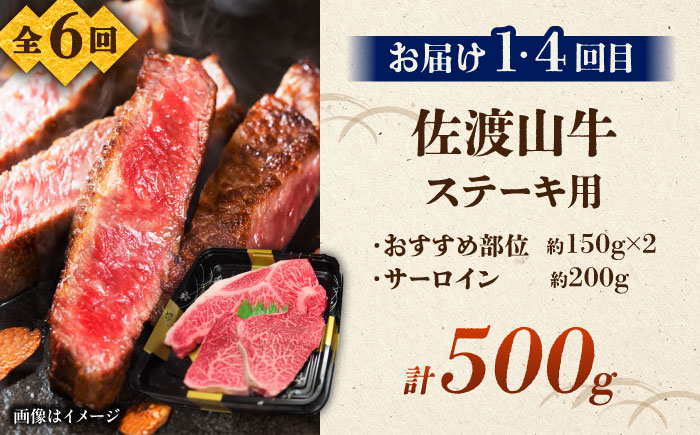 【全6回定期便】沖縄ブランド牛を堪能！贅沢お肉定期便【沖縄市】牛肉 和牛 サーロインステーキ 焼肉 赤身 沖縄市 / 肉のサブロー / お肉屋本店 [BCZZ028]