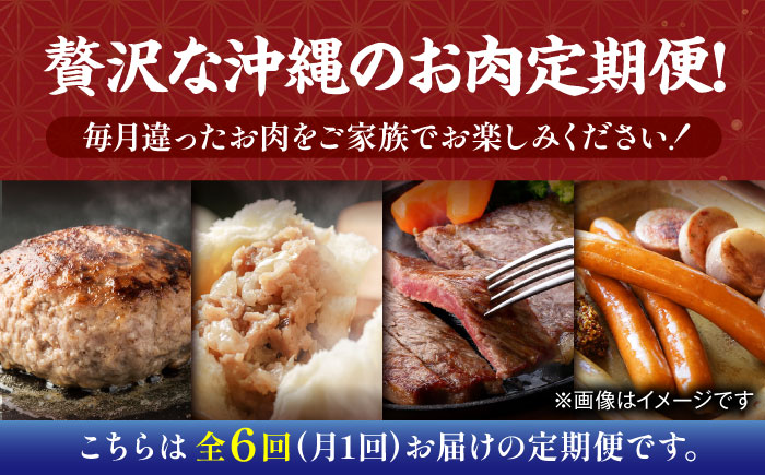 【全6回定期便】家族で満喫！沖縄のお肉贅沢セット【沖縄市】ハンバーグ あぐー 石垣牛 ステーキ 焼肉 冷凍 ギフト お取り寄せ 沖縄市 / お肉屋本店 / 豚々茶舗 / TESIO / 肉のサブロー [BCZZ034]