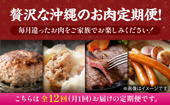 【全12回定期便】家族で満喫！沖縄のお肉贅沢セット【沖縄市】ハンバーグ あぐー 石垣牛 ステーキ 焼肉 冷凍 ギフト お取り寄せ 沖縄市 / お肉屋本店 / 豚々茶舗 / TESIO / 肉のサブロー [BCZZ035]