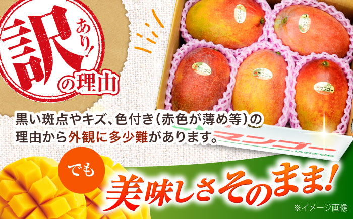 【先行予約 2026年発送 予約受付】訳あり 完熟マンゴー 約1.5kg (3～6玉入) マンゴー 沖縄 果物 フルーツ ギフト 沖縄市 / ちゃんぷる～市場 [BCAA001]