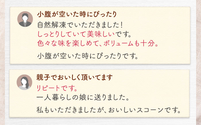 厳選おすすめ スコーン 12個セット 焼き菓子 焼菓子 お菓子 冷凍 個包装 沖縄市 / ZEBRA.Bagel [BCAE003]