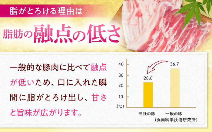 沖縄県産豚肉 ヒレ肉 3本入り (計1.5～1.8kg) 豚 豚肉 ひれ肉 真空パック 小分け 冷凍 国産 沖縄市 / 宮城ふぁーむ [BCAJ012]