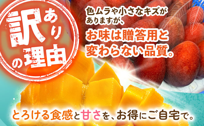 【優秀賞受賞】沖縄県産 完熟マンゴー 訳アリ 2kg (3～5玉) マンゴー 沖縄 果物 フルーツ ギフト 沖縄市 / MAIFARM [BCAN004]