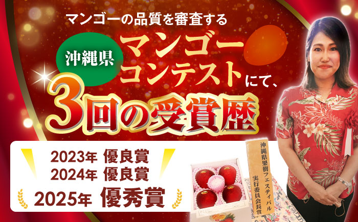 【最優秀賞受賞】沖縄県産 完熟マンゴー 大玉 1個入り マンゴー 沖縄 果物 フルーツ ギフト 沖縄市 / MAIFARM [BCAN005]