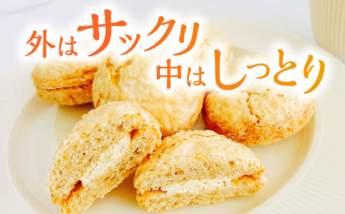 コザハニー L (12個入り) 焼き菓子 クリームサンド ハニー はちみつ コハマのはちみつ 取り寄せ ギフト 沖縄市 / 農業生産法人株式会社小浜養蜂場 [BCAQ012]