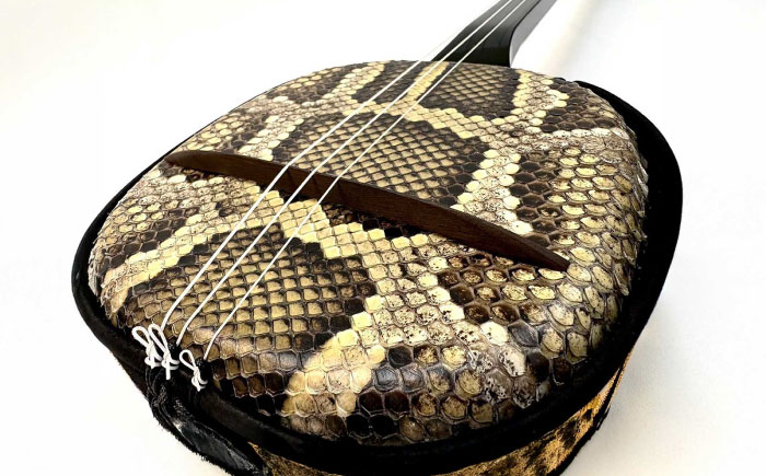 池武当新垣三線店 本蛇皮強化張り三線初心者セット 三線 さんしん 初心者 セット 沖縄 沖縄市 / コザ工芸館ふんどぅ [BCAU015]