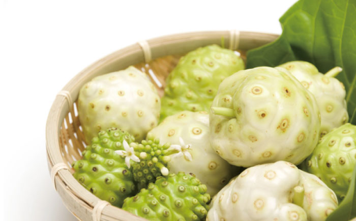 沖縄県産ノニ100％使用『神寿 SHINJU』720ml×4本 ノニジュース 沖縄 健康ドリンク 健康食品 ギフト 沖縄市/有限会社おきりゅう [BCBB003]