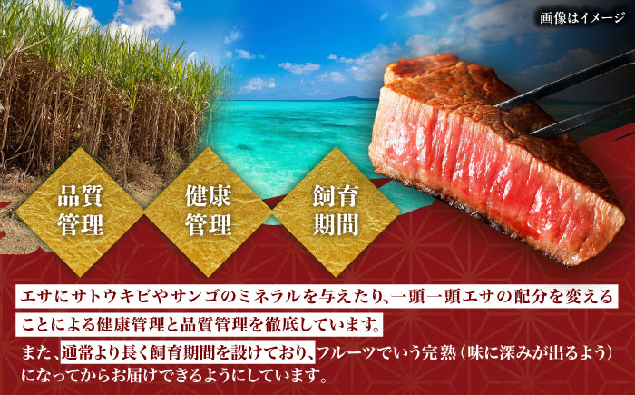 【全3回定期便】【厳選！おすすめ部位】沖縄和牛 佐渡山牛 焼肉用 500g 牛肉 焼肉 焼き肉 和牛 赤身 沖縄市 / 肉のサブロー [BCBC011]