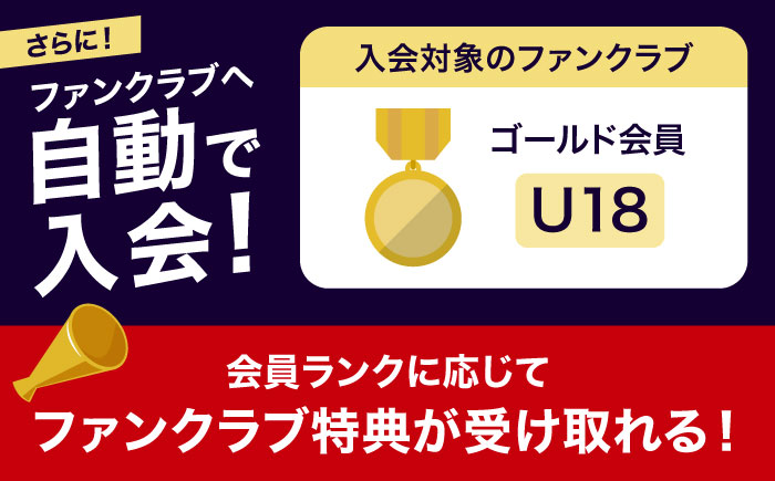 FC琉球 2025シーズンパス バック自由席 U18 (ゴールド会員ファンクラブ付き) サッカー Jリーグ スポーツ観戦 チケット 沖縄市 / 琉球フットボールクラブ株式会社 [BCBF021]