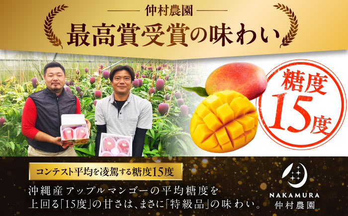 【先行予約 2026年発送 予約受付】【訳あり】仲村農園の完熟アップルマンゴー 1kg マンゴー 沖縄 果物 フルーツ ギフト 沖縄市 / 仲村農園 [BCCU004]