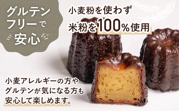 琉球PANA(R)米粉カヌレ 5個 スイーツ セット ギフト お菓子 グルテンフリー 沖縄市 10000円 / GLUCKS [BCDY001]