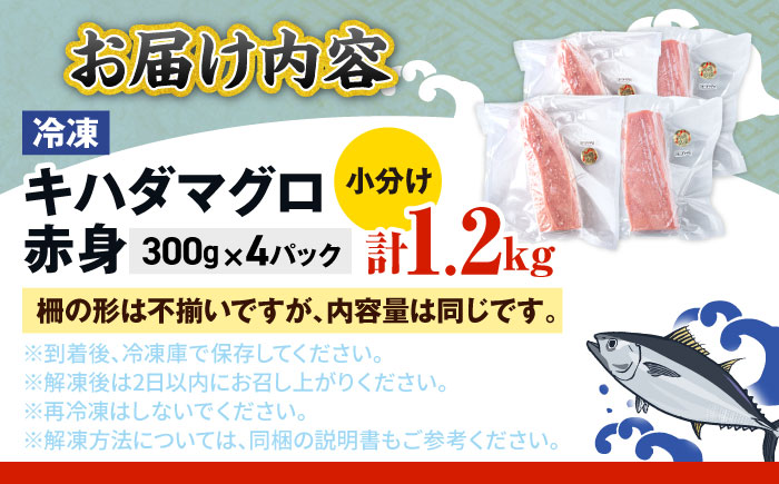冷凍キハダマグロ 1.2kg (300g×4パック) マグロ まぐろ 小分け 冷凍 刺身 赤身 沖縄市 / 沖縄市漁業協同組合 パヤオ直売店 [BCDZ007]