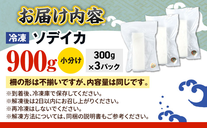 冷凍セーイカ (そでいか) 900g (300g ×3パック) 沖縄市 / 沖縄市漁業協同組合 パヤオ直売店 [BCDZ008]