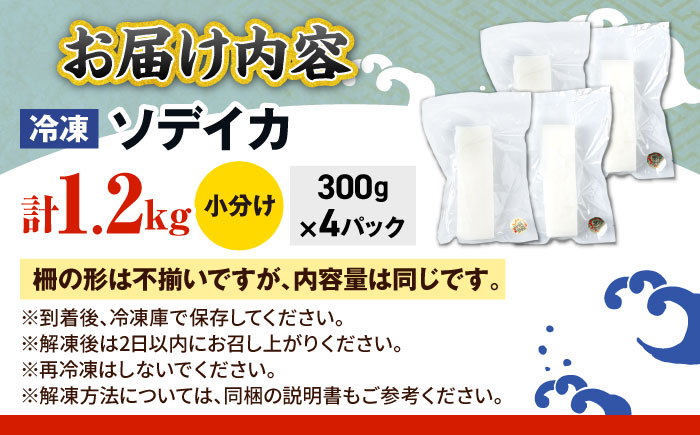 冷凍セーイカ (そでいか) 1.2kg (300g ×4パック) 沖縄市 / 沖縄市漁業協同組合 パヤオ直売店 [BCDZ009]