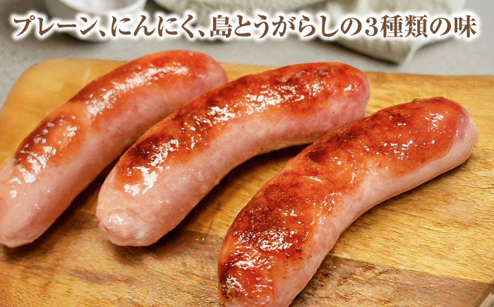 おにくの碧龍の「アグー豚 詰め合せギフト」 豚肉 ハンバーグ ソーセージ ベーコン ヒレ 詰め合わせ お取り寄せ 国産 ギフト 沖縄市 / おにくの碧龍 [BCEO015]
