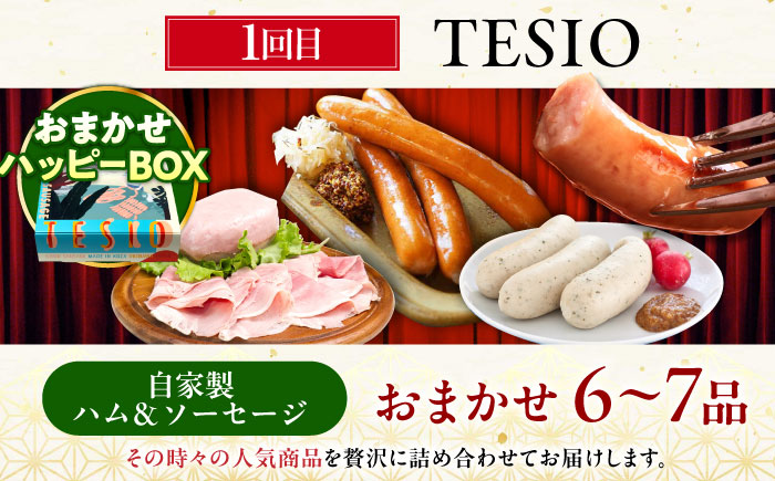 【全3回定期便】ビールと相性抜群！沖縄のおつまみセット【沖縄市】ビール 酒 おつまみ / TESIO（株式会社ヒネエル） / だるまそば / お肉屋本店 [BCZZ021]