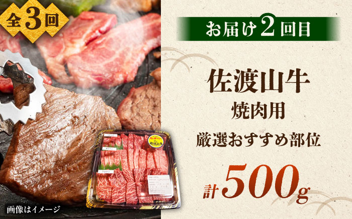 【全3回定期便】沖縄ブランド牛を堪能！贅沢お肉定期便【沖縄市】牛肉 和牛 サーロインステーキ 焼肉 赤身 沖縄市 / 肉のサブロー / お肉屋本店 [BCZZ027]