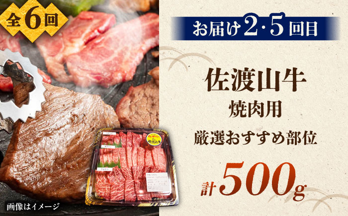 【全6回定期便】沖縄ブランド牛を堪能！贅沢お肉定期便【沖縄市】牛肉 和牛 サーロインステーキ 焼肉 赤身 沖縄市 / 肉のサブロー / お肉屋本店 [BCZZ028]